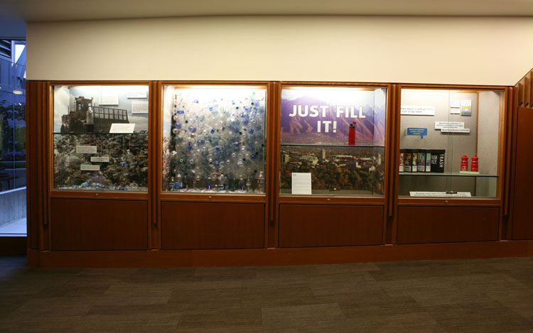 Level 1 Display Cases